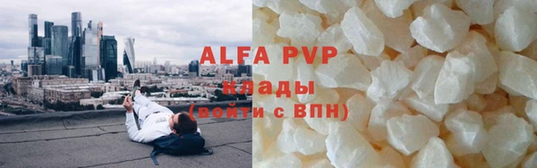 ПСИЛОЦИБИНОВЫЕ ГРИБЫ Вязники