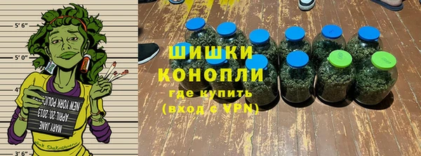 МДПВ Волоколамск