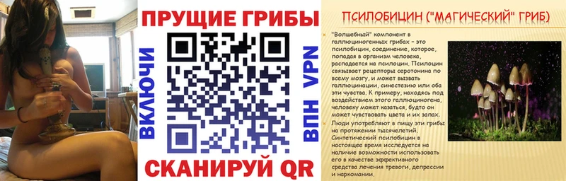 купить наркоту  Завитинск  Галлюциногенные грибы ЛСД 