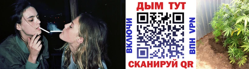 Конопля семена  кракен ONION  Завитинск 